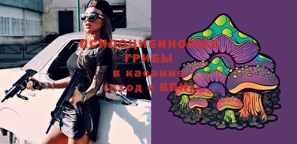 Альфа ПВП Абдулино