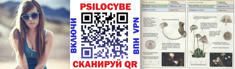 гидра как войти  Цивильск  Псилоцибиновые грибы Psilocybine cubensis 